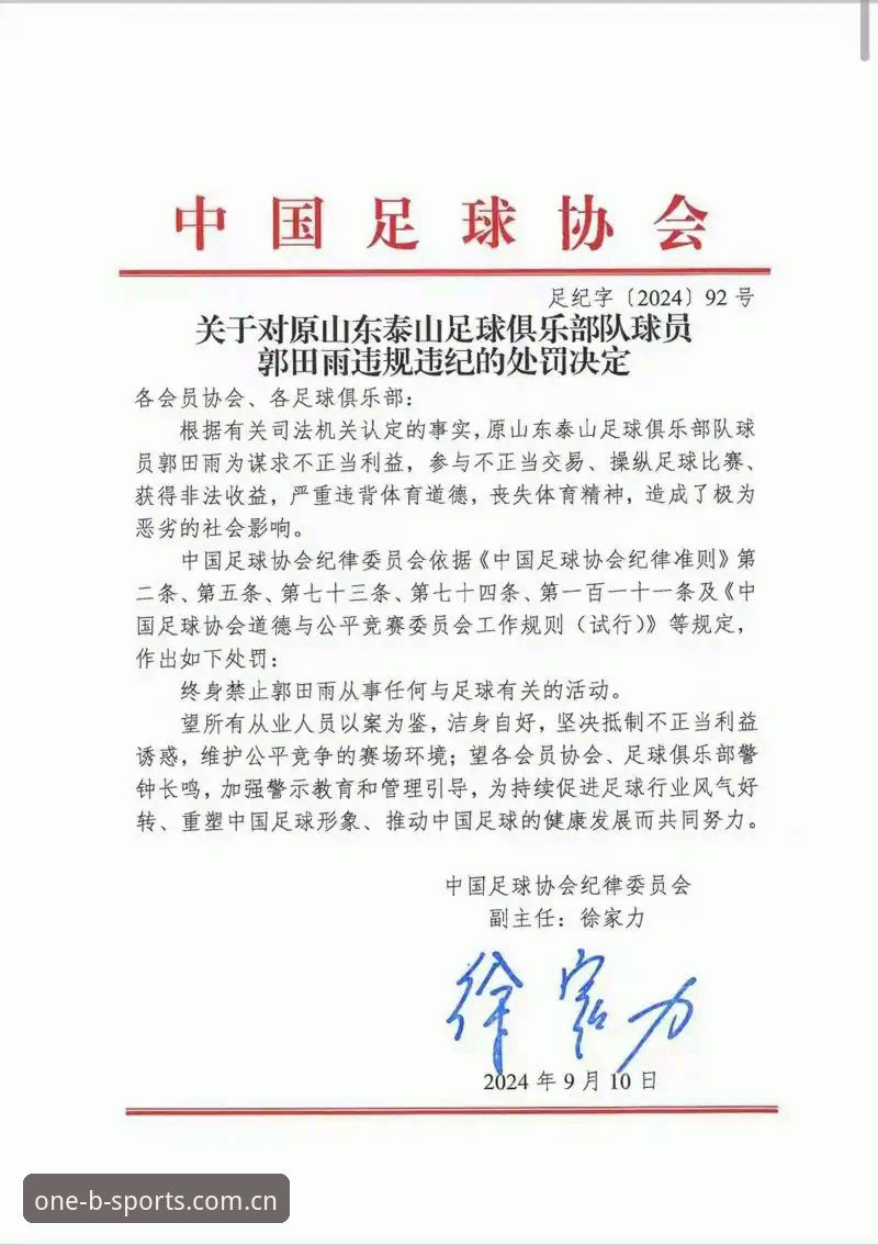 BSports平台官网 足坛反腐重拳实用指南:从第三批禁足名单看行业净化与合规之道